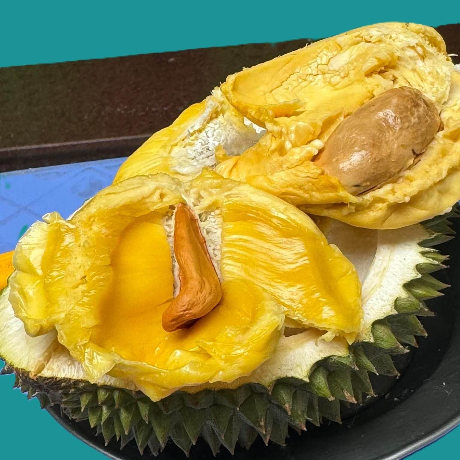 Sầu riêng hạt lép